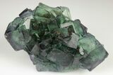 Green Cubic Fluorite Cluster With Purple Edges - Okorusu Mine #191980-4
